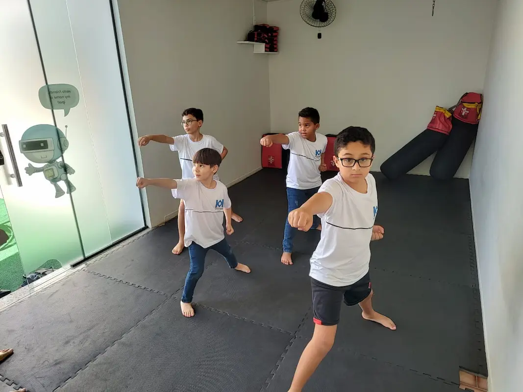 Aula de Karatê
